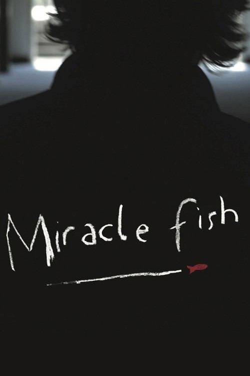 Miracle Fish kapak görseli