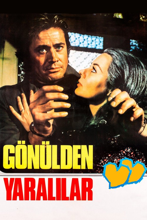 Gönülden Yaralılar kapak görseli