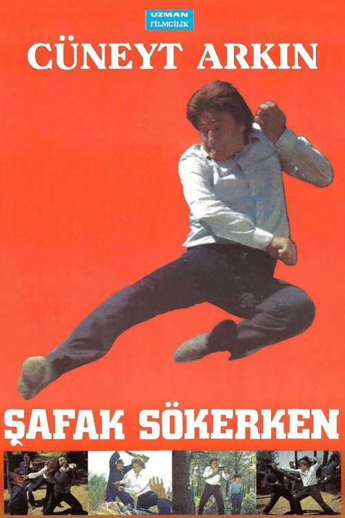 Şafak Sökerken kapak görseli
