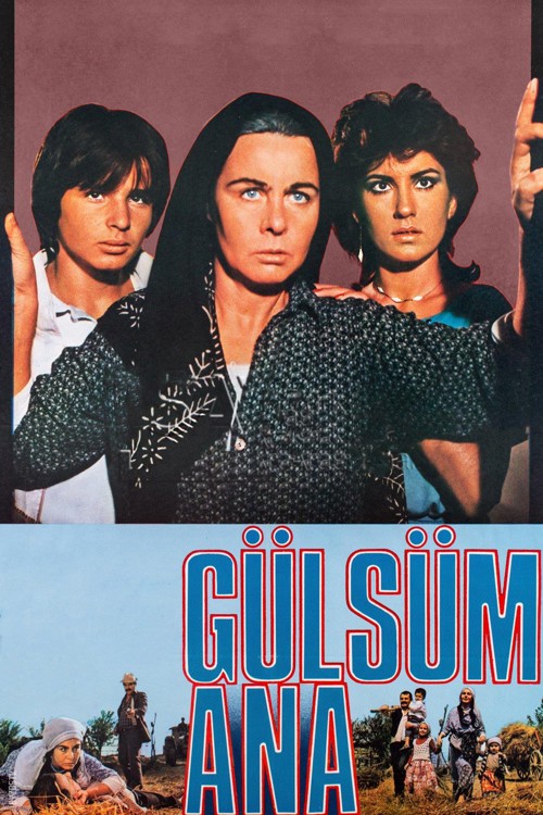 Gülsüm Ana kapak görseli