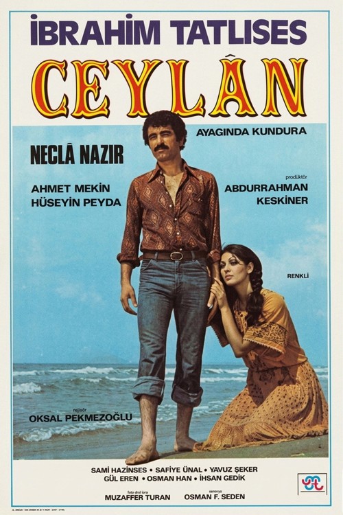 Ceylan kapak görseli