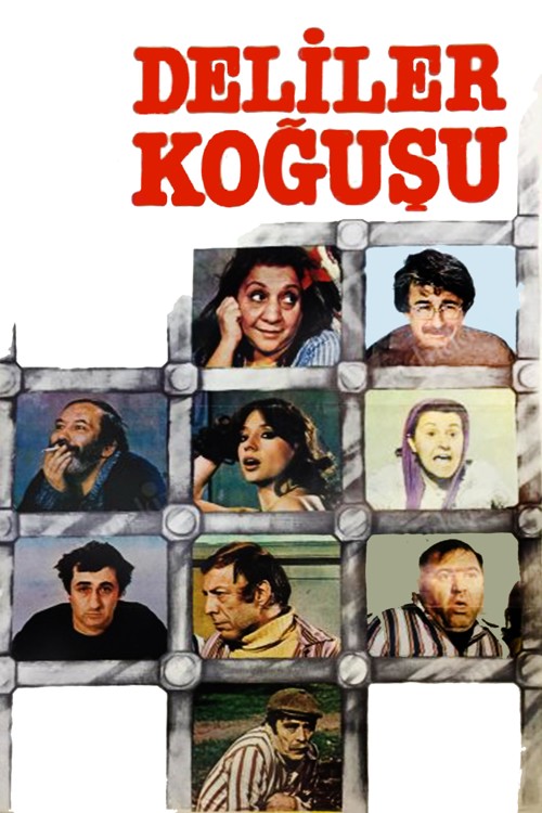 Deliler Koğuşu kapak görseli