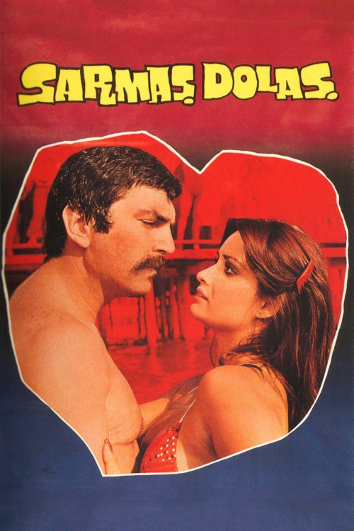 Sarmaş Dolaş kapak görseli