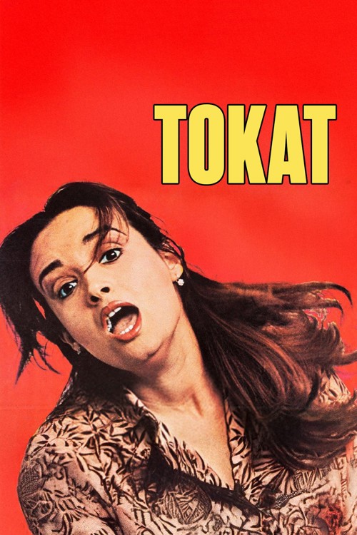 Tokat kapak görseli