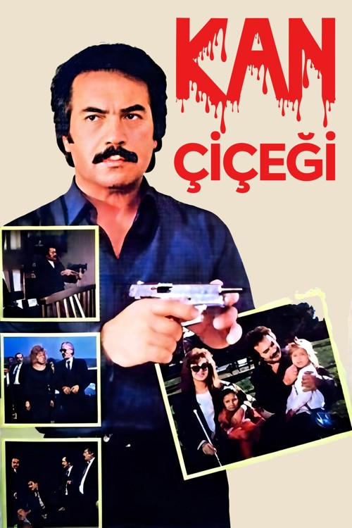 Kan Çiçeği kapak görseli