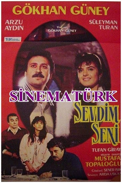 Sevdim Seni kapak görseli