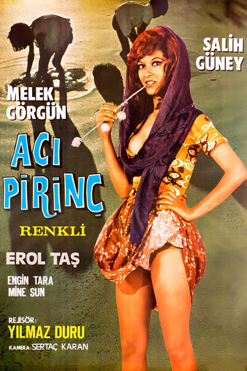 Acı Pirinç kapak görseli