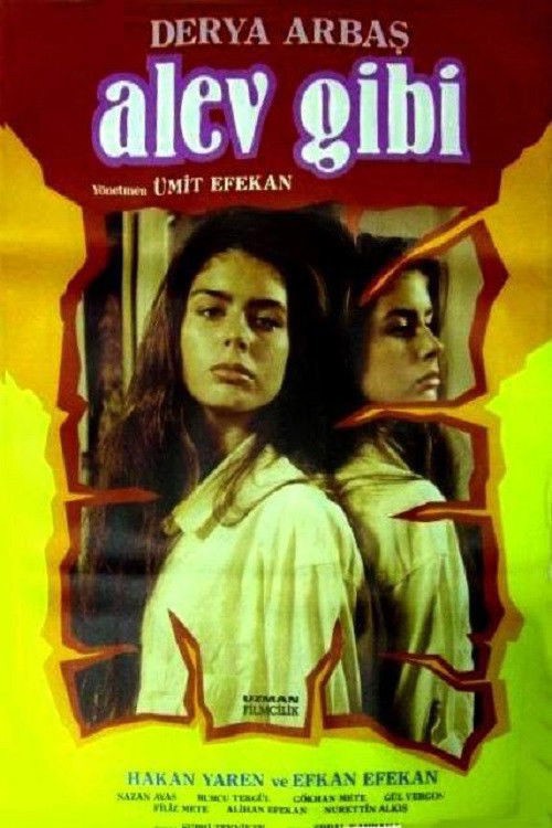Alev Gibi kapak görseli