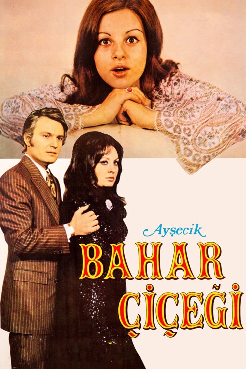 Bahar Çiçeği kapak görseli