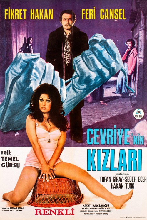 Cevriye'nin Kızları kapak görseli