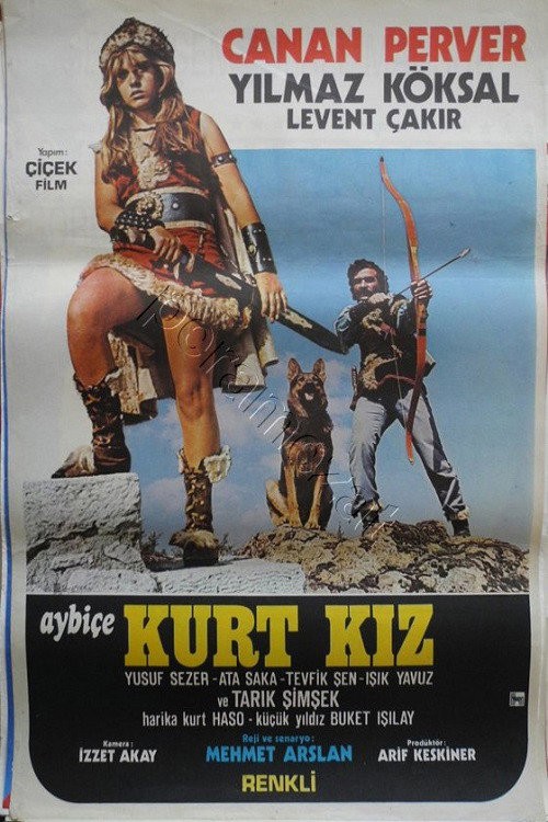 Aybiçe Kurt Kız kapak görseli