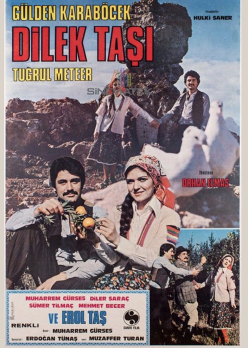 Dilek Taşı kapak görseli