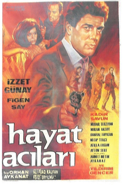 Hayat Acıları kapak görseli