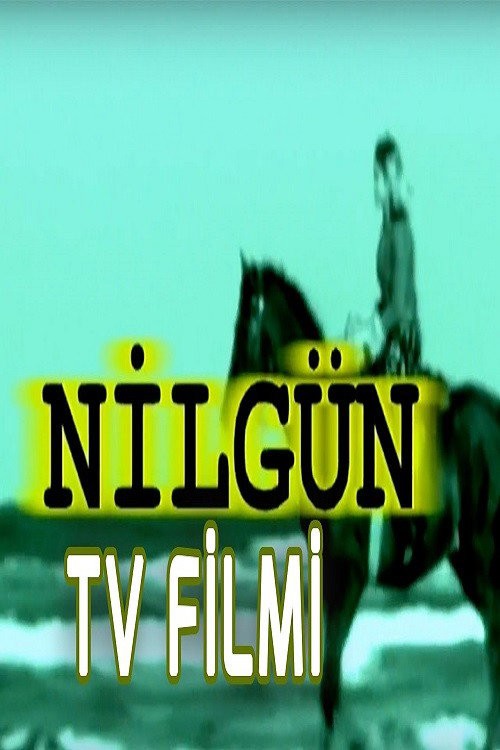 Nilgün kapak görseli