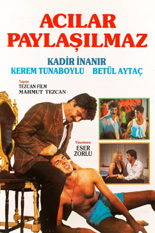 Acılar Paylaşılmaz kapak görseli