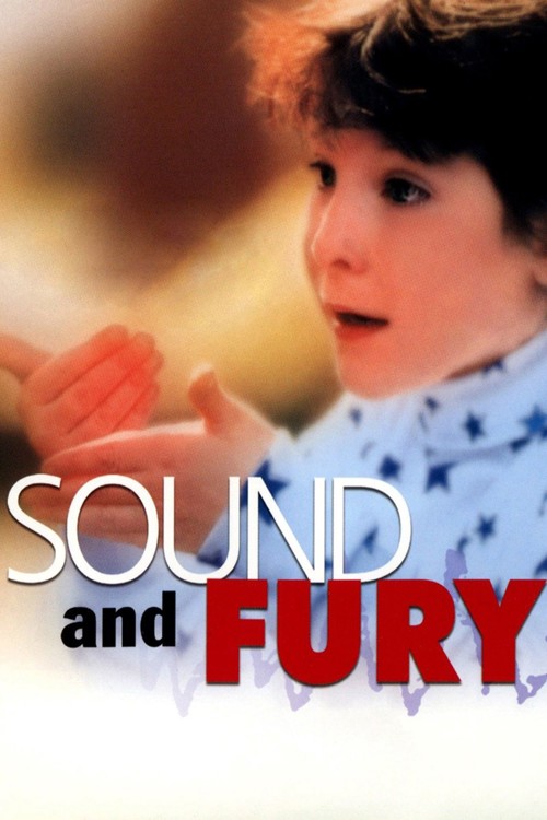Sound and Fury kapak görseli