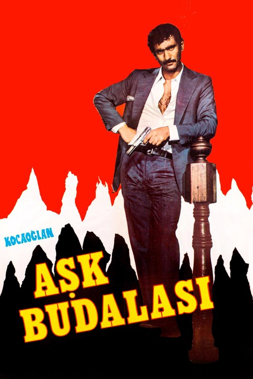 Kocaoğlan: Aşk Budalası kapak görseli