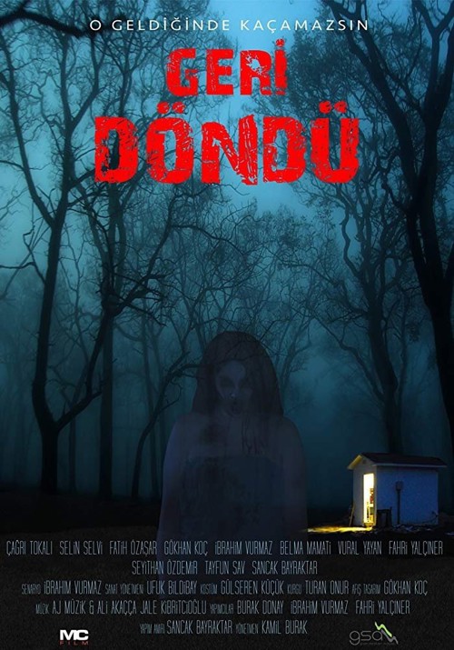 Geri Döndü kapak görseli