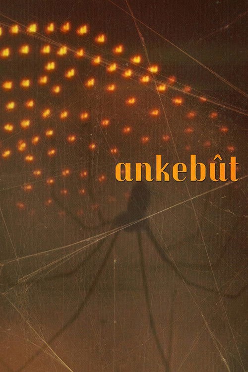 Ankebût kapak görseli