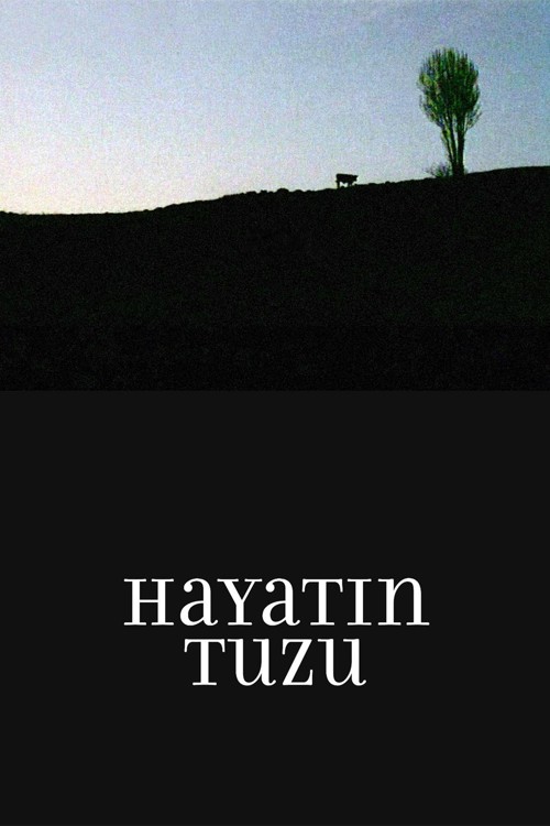Hayatın Tuzu kapak görseli