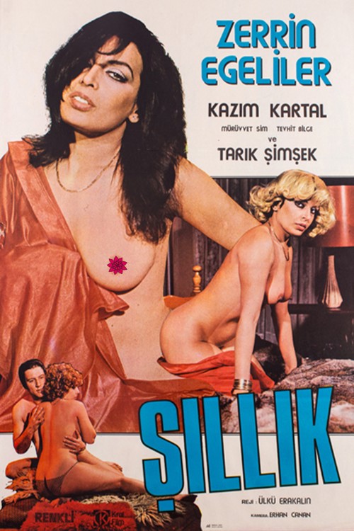 Şıllık kapak görseli
