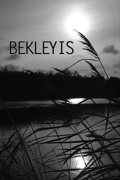 Bekleyiş kapak görseli