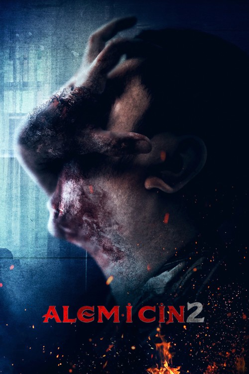 Alem-i Cin 2 kapak görseli