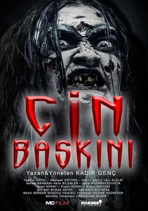 Cin Baskını kapak görseli