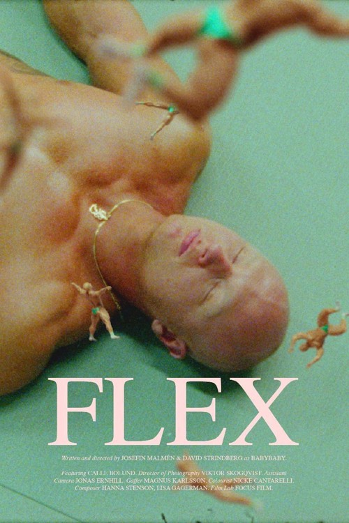 Flex kapak görseli