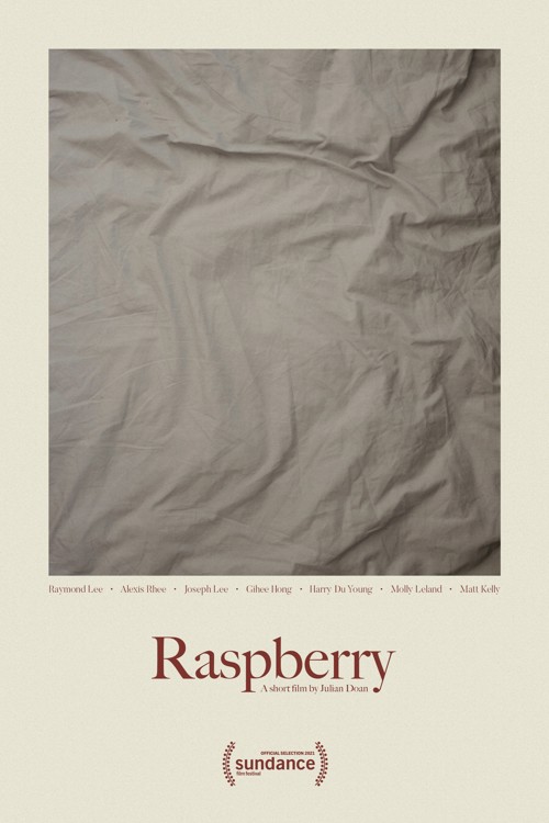 Raspberry kapak görseli