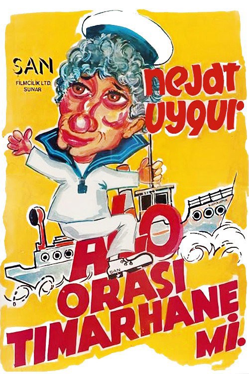 Alo Orası Tımarhane mi kapak görseli