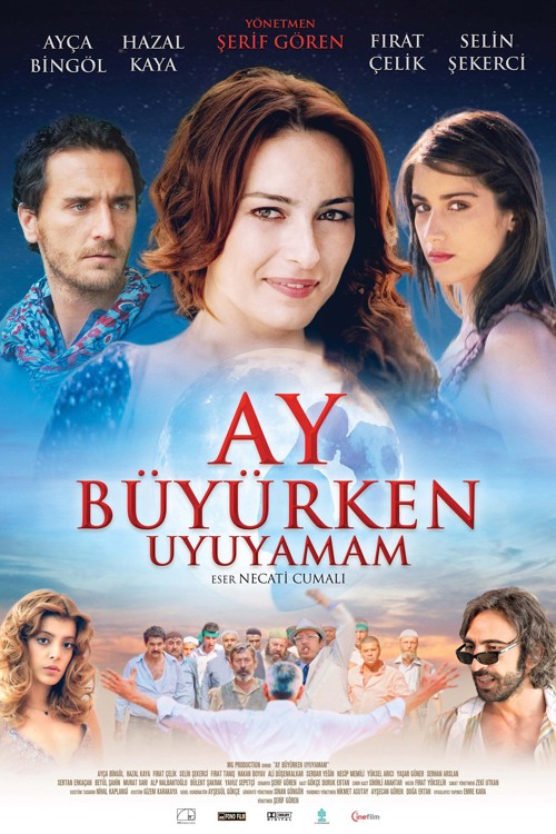 Ay Büyürken Uyuyamam kapak görseli