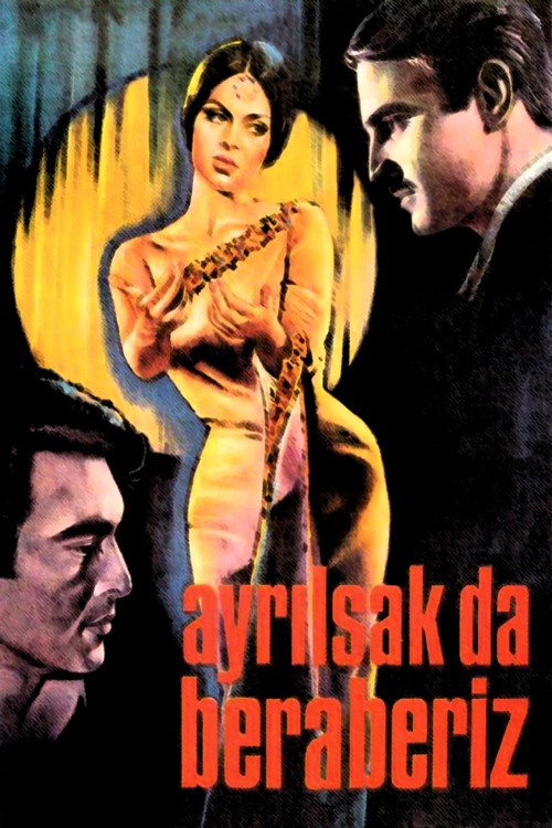 Ayrılsak da Beraberiz kapak görseli