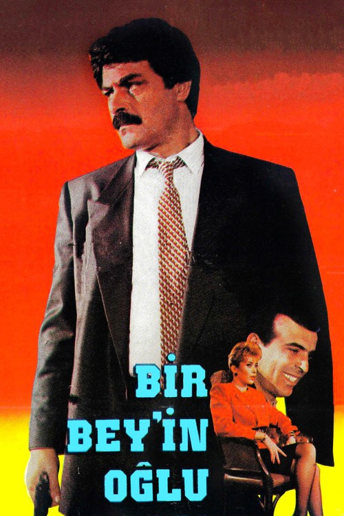 Bir Bey'in Oğlu kapak görseli