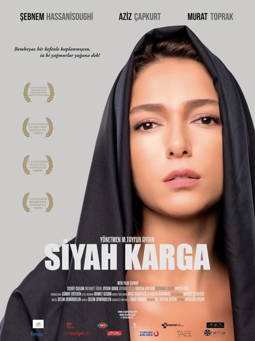 Siyah Karga kapak görseli