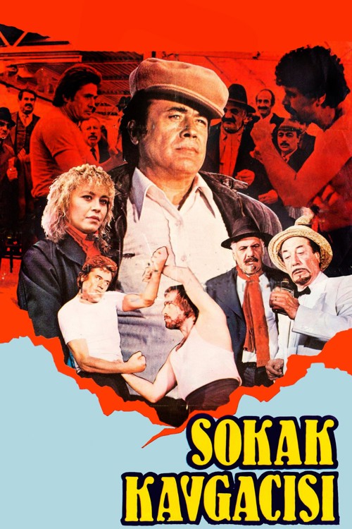 Sokak Kavgacısı kapak görseli