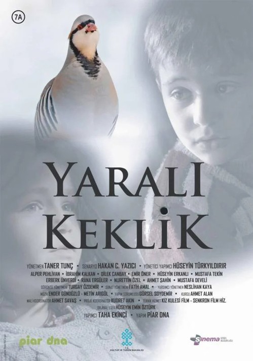 Yaralı Keklik kapak görseli