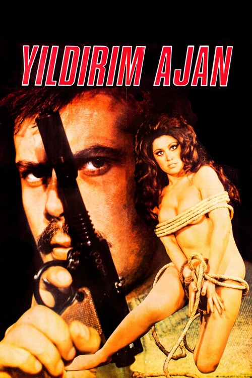 Yıldırım Ajan kapak görseli