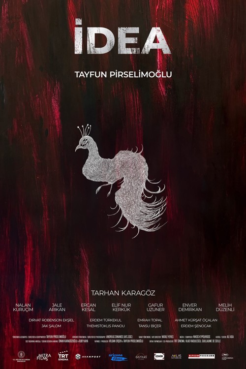 İdea kapak görseli
