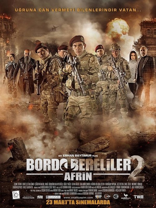Bordo Bereliler 2: Afrin kapak görseli