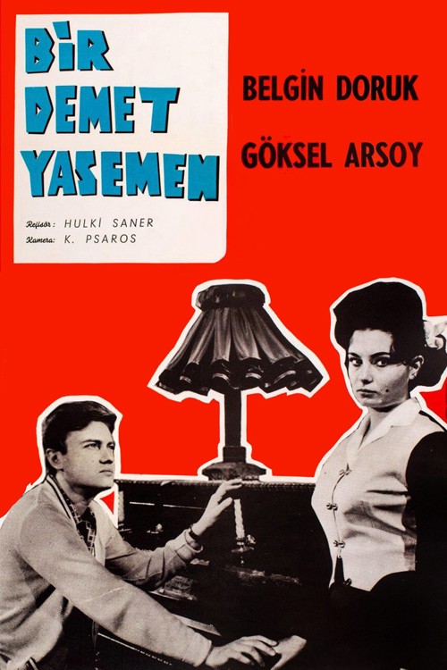 Bir Demet Yasemen kapak görseli