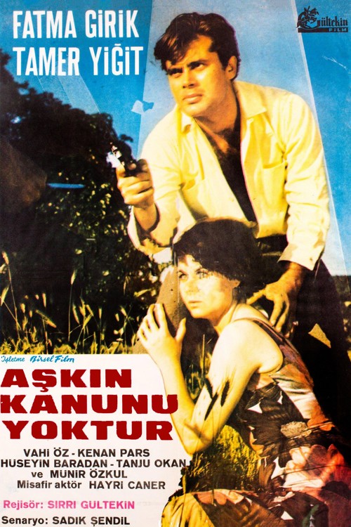 Aşkın Kanunu kapak görseli