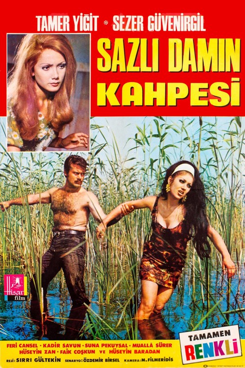 Sazlı Damın Kahpesi kapak görseli