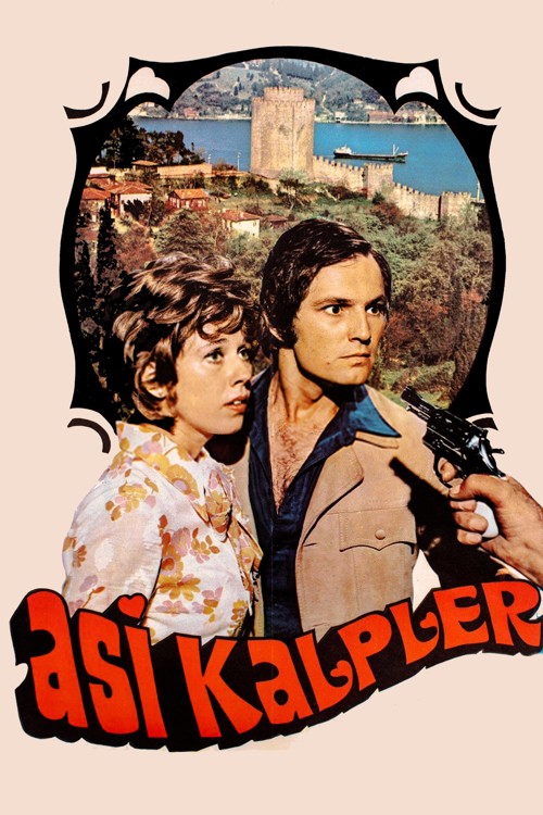 Asi Kalpler kapak görseli