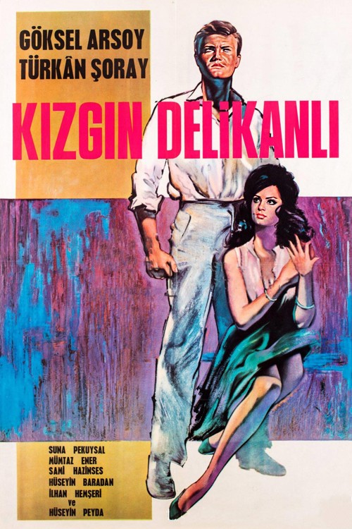 Kızgın Delikanlı kapak görseli