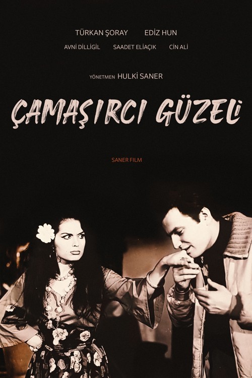 Çamaşırcı Güzeli kapak görseli