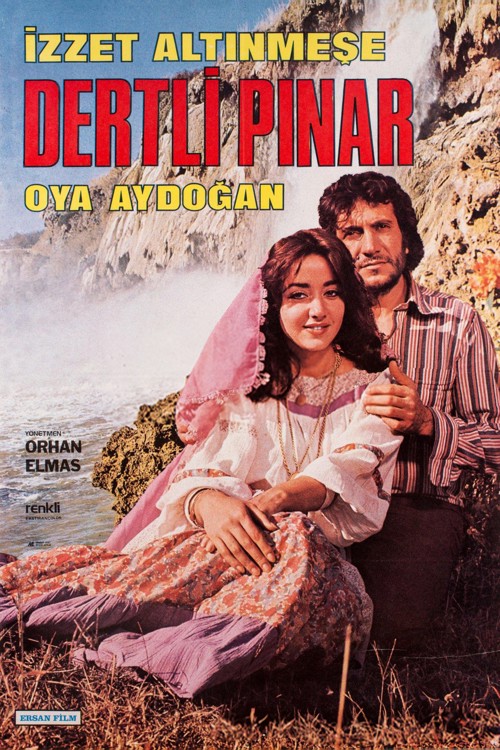 Dertli Pınar kapak görseli