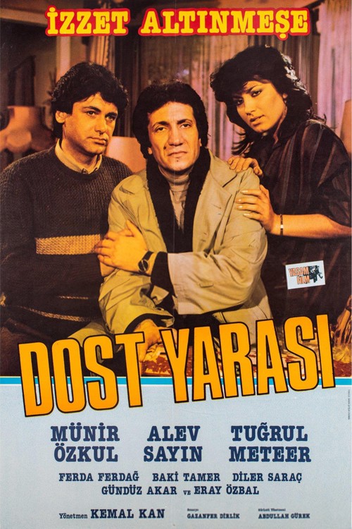 Dost Yarası kapak görseli