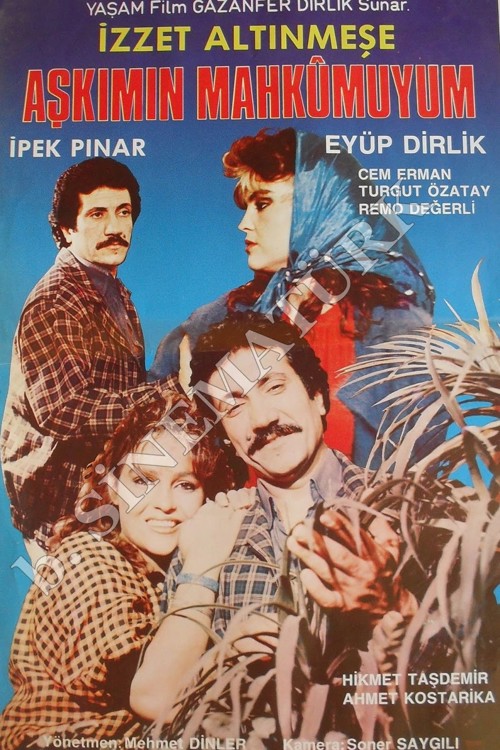Aşkımın Mahkumuyum kapak görseli