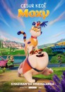 Cesur Kedi Moxy